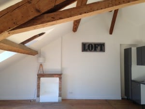 photo 3 (10)